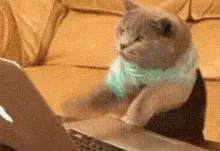 Pyango blog content illustration - German content coming soon